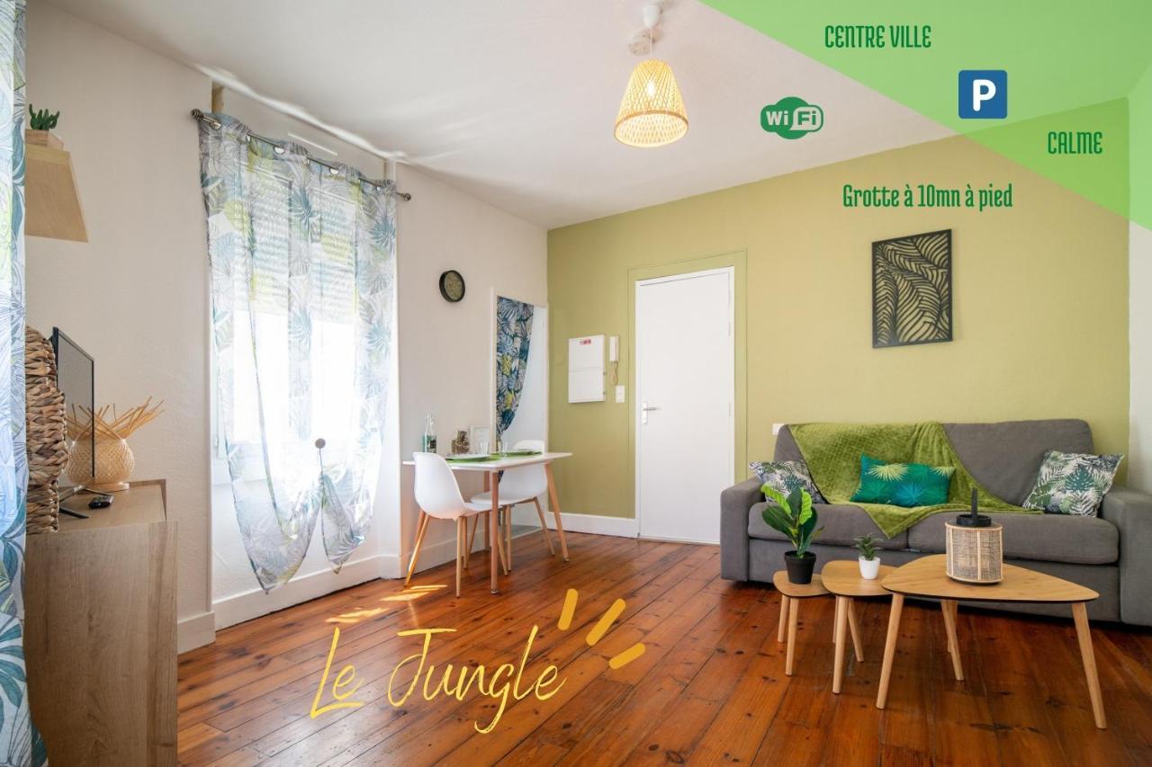Le Jungle--Hyper Centre--Tout Confort--Wifi Lourdes Buitenkant foto